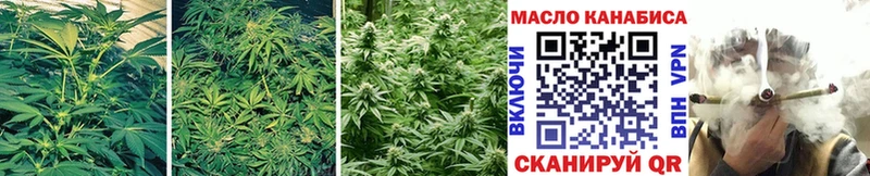 ТГК THC oil  Обоянь 