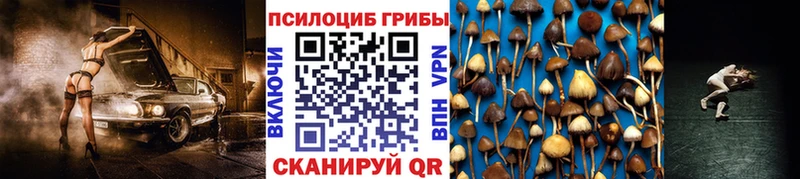 Псилоцибиновые грибы GOLDEN TEACHER Обоянь